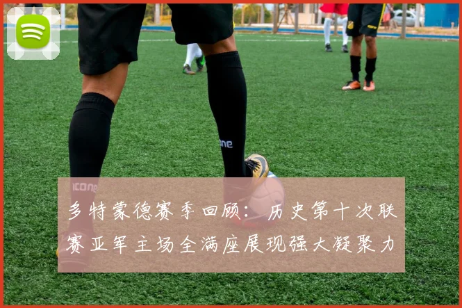 多特蒙德赛季回顾：历史第十次联赛亚军主场全满座展现强大凝聚力