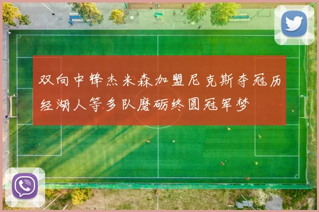 双向中锋杰米森加盟尼克斯夺冠历经湖人等多队磨砺终圆冠军梦